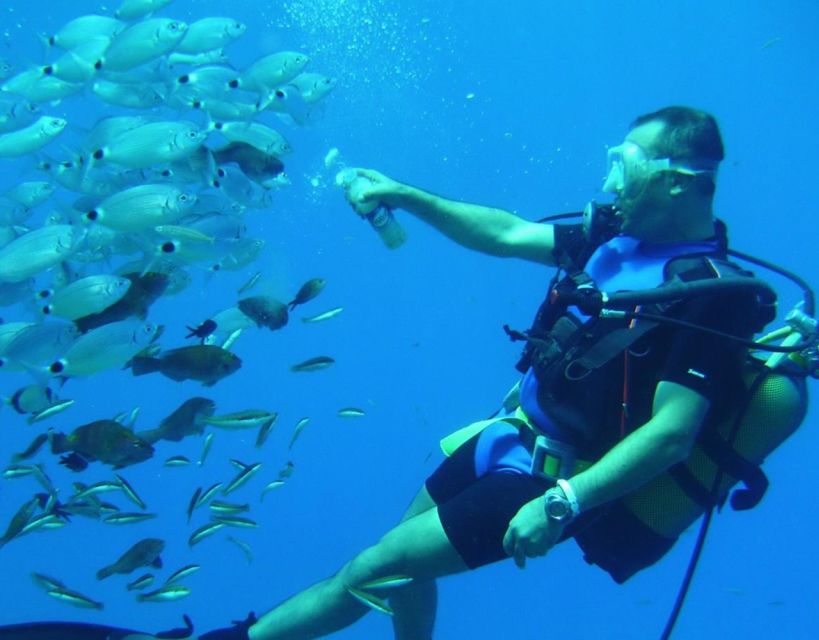 Antalya/Kemer: Scuba Diving with Pickup, Lunch, and 2 Dives - What to Bring (Simple List, Real Impact)