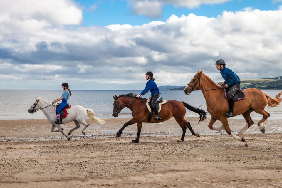 Antalya: Lara Beach & Forrest Horse Riding Safari - The Forest Hour: Shade, Quiet Focus, and Learning Control
