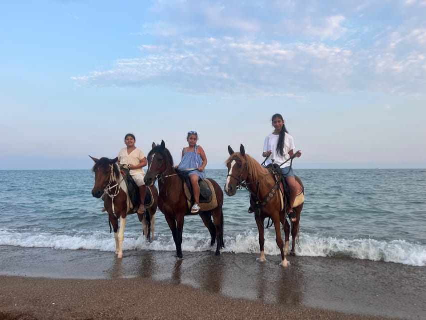 Antalya: Lara Beach & Forrest Horse Riding Safari - Horses and Instructors: Calm Animals, Real Support, and Clear Communication