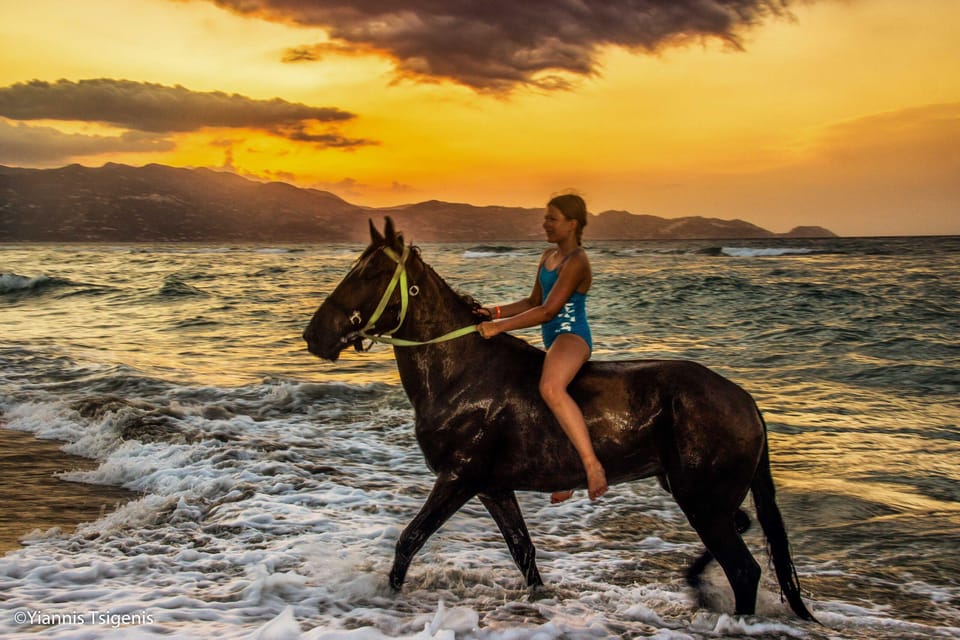 Antalya: Lara Beach & Forrest Horse Riding Safari - Price and Value: What $58 Buys You in Antalya