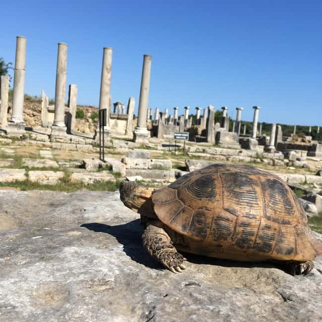 Antalya: Perge Ancient City Tour - Practical Tips: Sun, Shoes, Photos, and Comfort