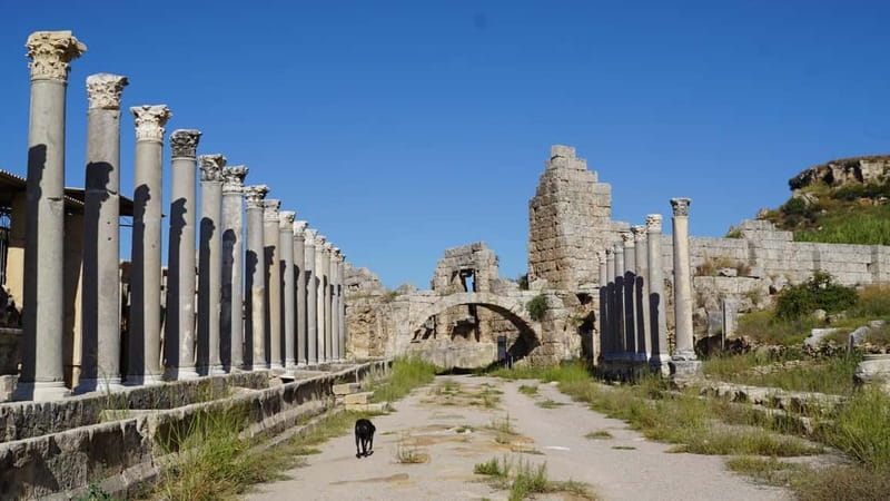 Antalya: Perge Ancient City Tour - Perge in 3.5 Hours: What This Tour Gets Right