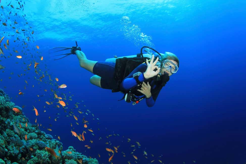 Antalya Scuba Diving Adventure with Expert Diver Option - Kemer’s Aquarium Bay first stop: an easier start to the day