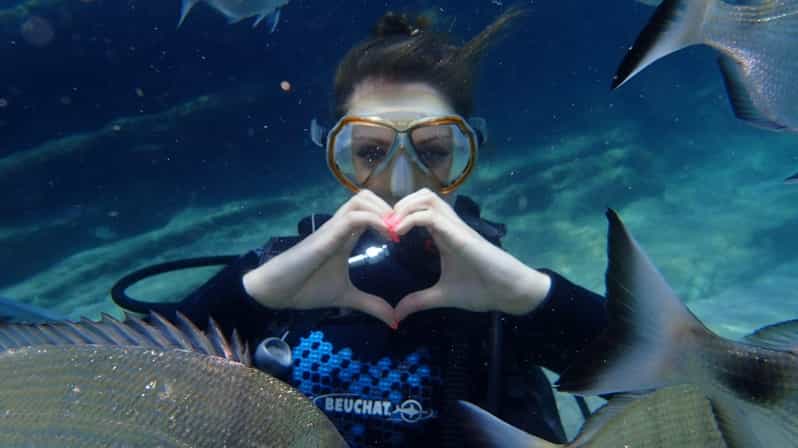 Antalya Scuba Diving Tour, With Lunch & Return Transfers - Key Highlights You’ll Care About