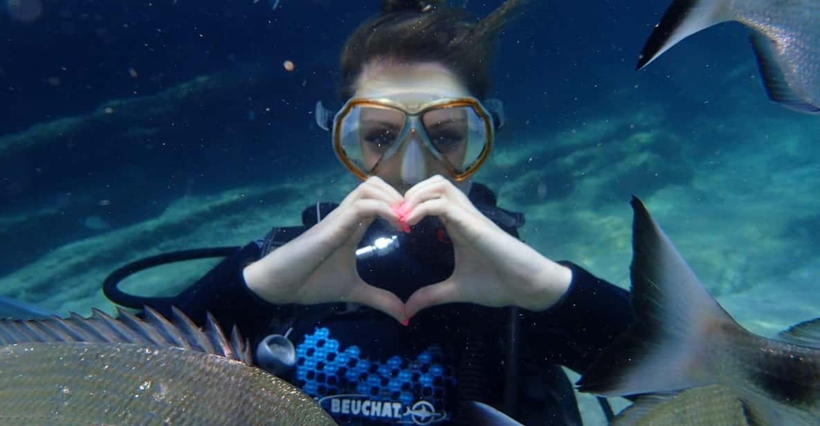 Antalya Scuba Diving Tour, With Lunch & Return Transfers - Quick Take: What You’re Really Getting for $38