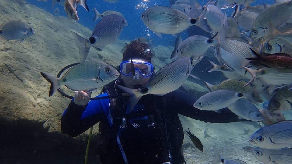 Antalya Scuba Diving Tour, With Lunch & Return Transfers - Second Underwater Session at Martı Island (Where the Day Gets Real)