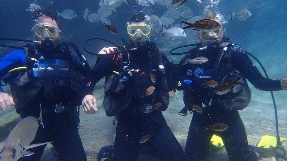 Antalya Scuba Diving Tour, With Lunch & Return Transfers - Depth, Duration, and What Safety Looks Like Here