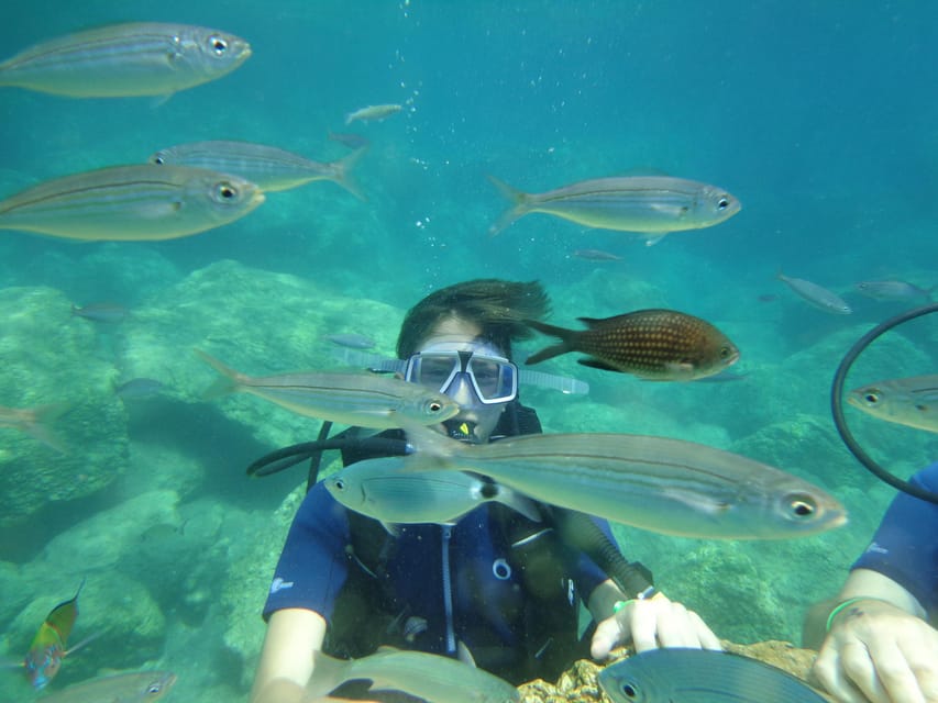 Antalya Scuba Diving Tour, With Lunch & Return Transfers - Price and Logistics: What’s Included vs. What You’ll Pay Extra