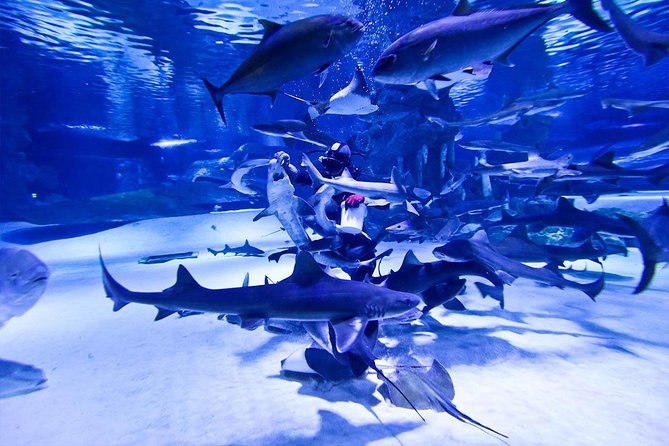 Antalya Tunnel Aquarium - Departure from Side - Timing, Weather, and Group Logistics You Can Plan Around