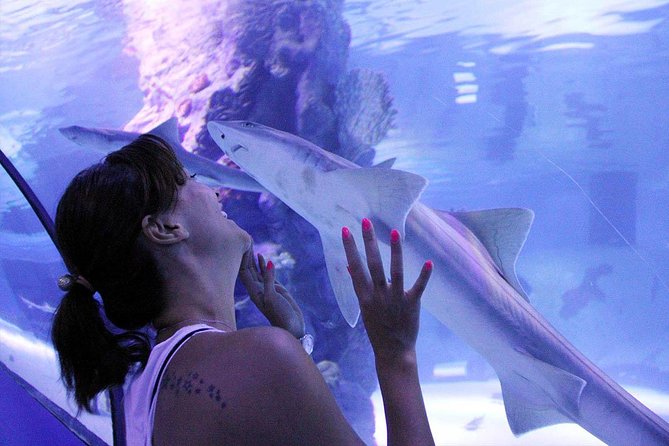 Antalya Tunnel Aquarium - Departure from Side - Lower Düden Waterfalls at Karpuz Kaldıran: The Short Nature Break