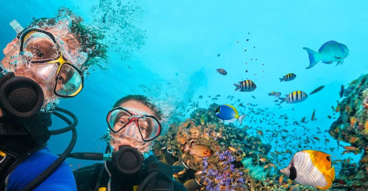 Belek: Scuba Diving in the Mediterranean Sea - Key Things to Know Before You Go