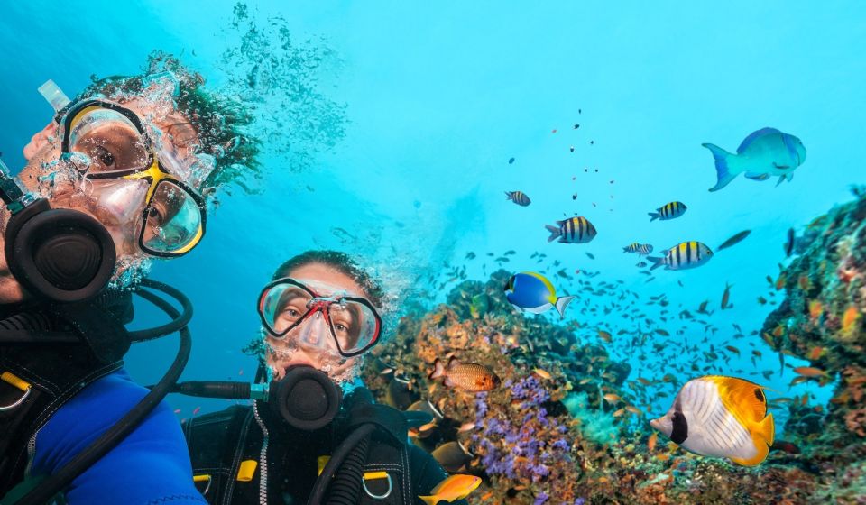 Belek: Scuba Diving in the Mediterranean Sea - Two Underwater Sessions at Two Sites: What That Means for You
