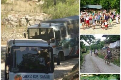 Cabrio Bus Safari at the Taurus Mountains from Side - Stop 1: Manavgat Waterfalls—A Classic Break That’s Easy to Love