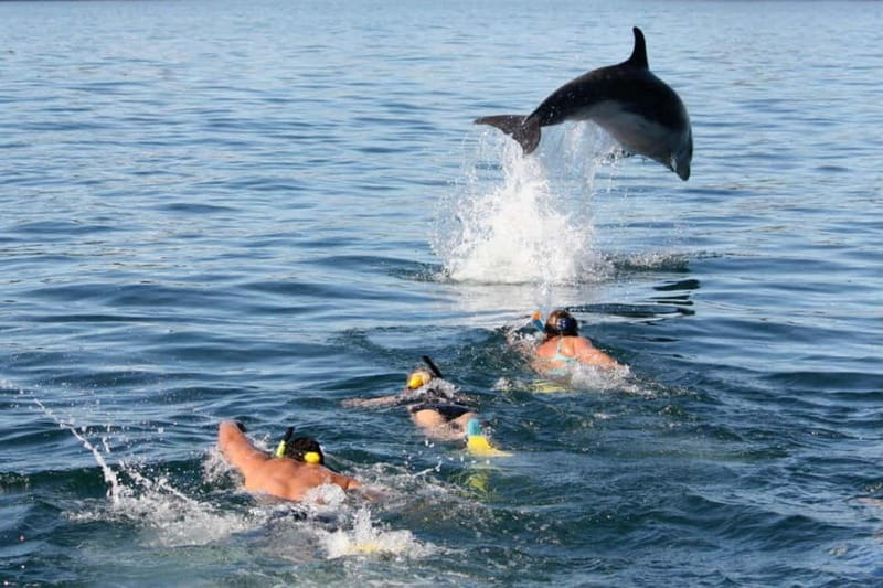 City Of Side: Dolphin Island Boat or Side Boat Tour Options - The 3-Deck Boat Experience: More Comfort Than You’d Expect