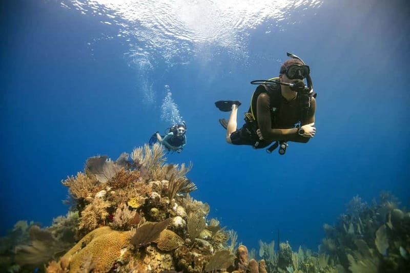 City of Side: Scuba Diving Underwater Museum with Pickup - Two underwater museum sessions around Side: what actually happens