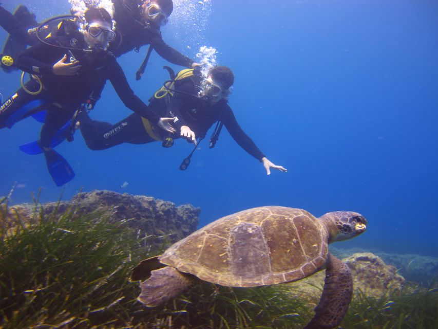 City of Side: Underwater Museum Scuba Diving Visit - Who should go, and who should skip it