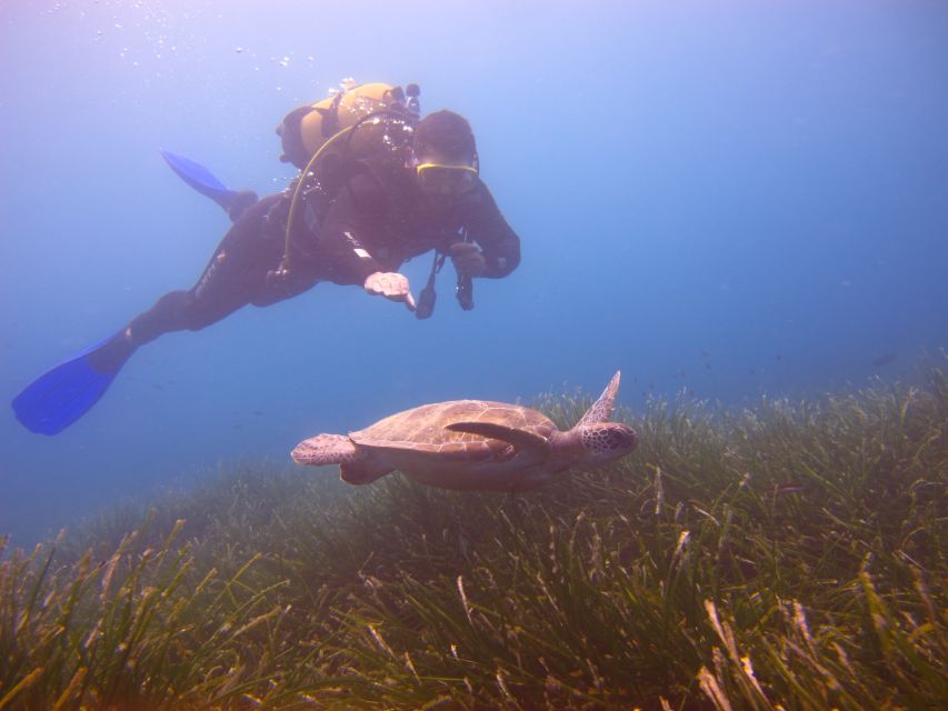 City of Side: Underwater Museum Scuba Diving Visit - Getting there: pickup, the harbor walk, and the 7.5-hour rhythm