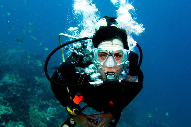Diving in the Mediterranean sea - Lunch onboard: a simple meal that keeps the schedule workable
