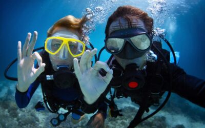 Diving Tour from Alanya & Side with Lunch - 2 Dives Included - Price and value at about $52 for a full day on the water