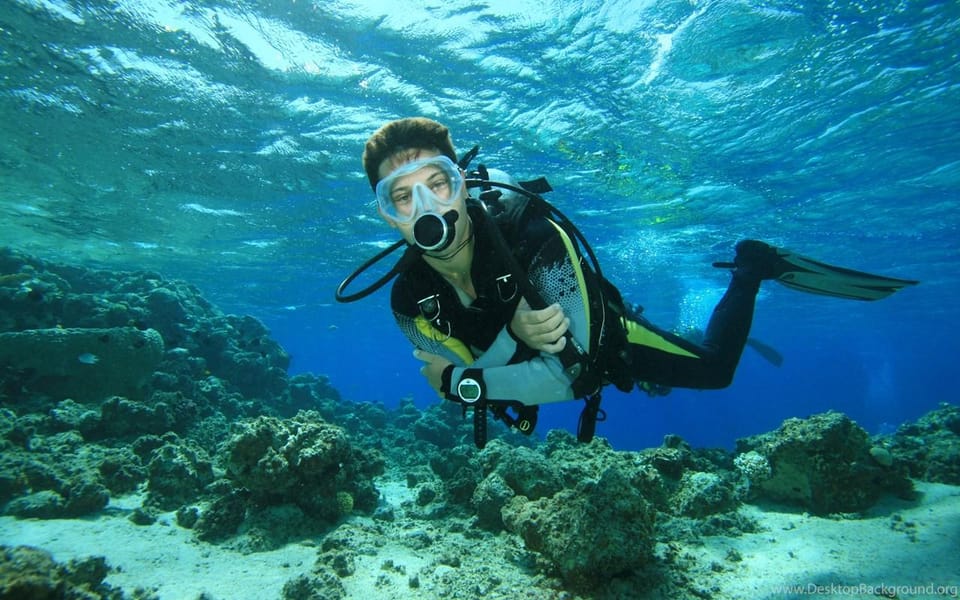 Diving Tour from Alanya & Side with Lunch - 2 Dives Included - Session one around 6 meters: what this first target is really for
