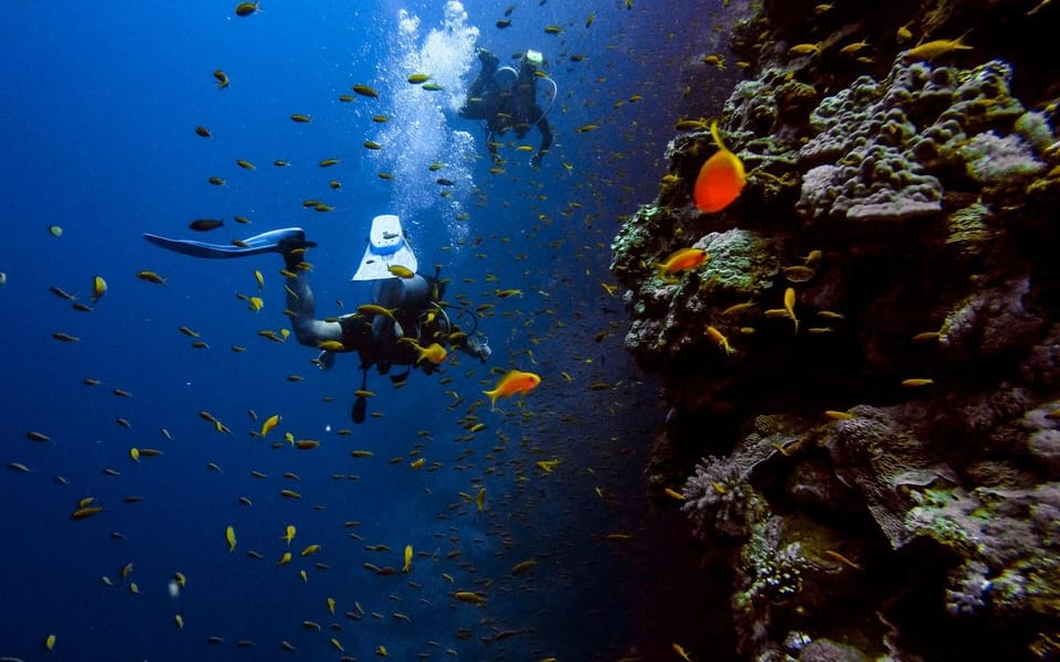 Diving Tour from Alanya & Side with Lunch - 2 Dives Included - Photos and videos: how to avoid a surprise bill