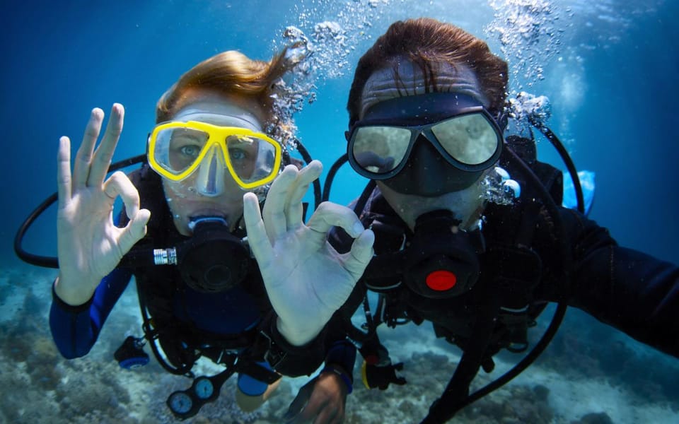 Diving Tour from Alanya & Side with Lunch - 2 Dives Included - Price and value at about $52 for a full day on the water