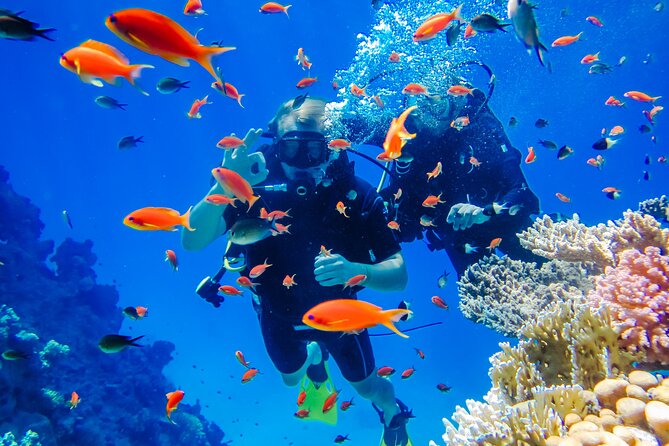 Exciteful Scuba Diving Experience in Antalya - Key highlights at a glance