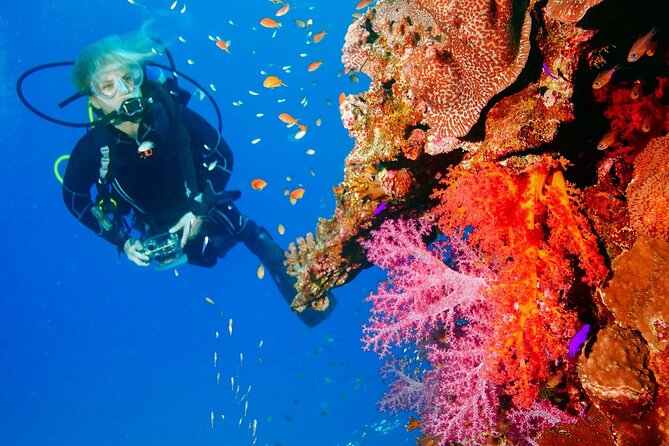 Exciteful Scuba Diving Experience in Antalya - Antalya’s Mediterranean: what makes this experience worth your time