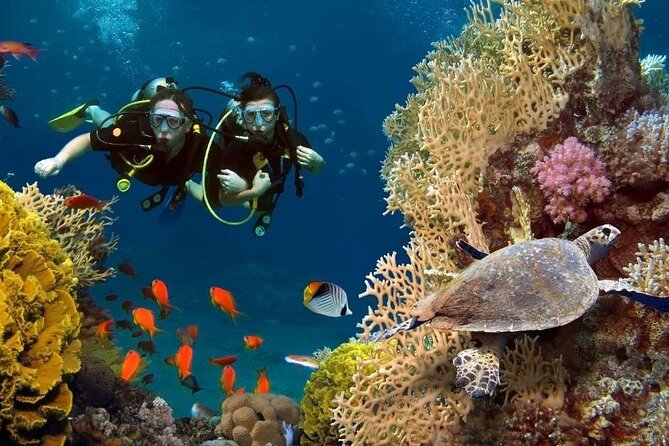 Exciteful Scuba Diving Experience in Antalya - Two underwater sessions off Konyaaltı: what you’ll actually spend your time doing