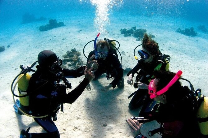 Exciteful Scuba Diving Experience in Antalya - Logistics that feel smooth: mobile ticket and air-conditioned transport