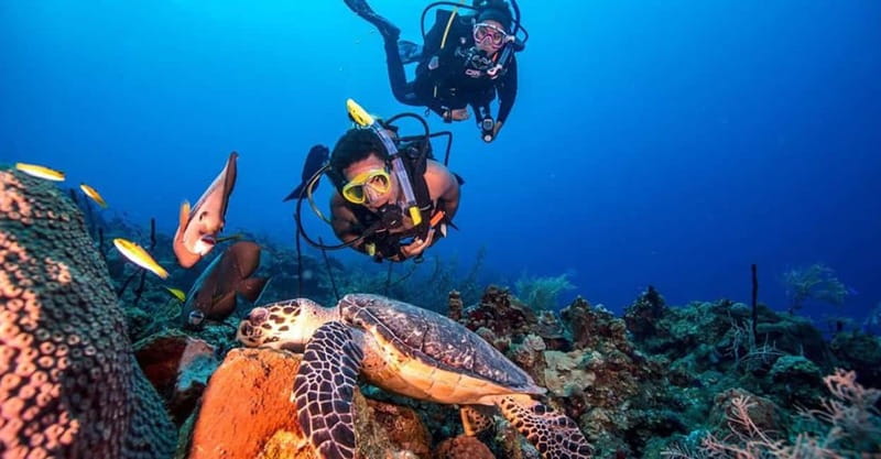 From Alanya: Scuba Diving Tour with Hotel Transfers - Price and what you actually get for $67