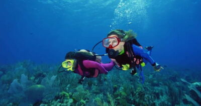 From Alanya: Scuba Diving Tour with Hotel Transfers - Getting to the boat: Alanya and Side hotel pickup that matters