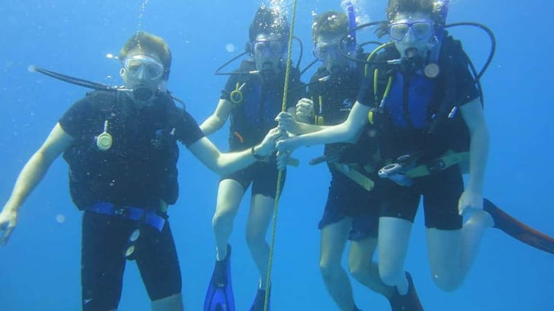From Alanya: Scuba Diving Tour with Hotel Transfers - Training for first-timers: theory, hand signals, and surface breathing