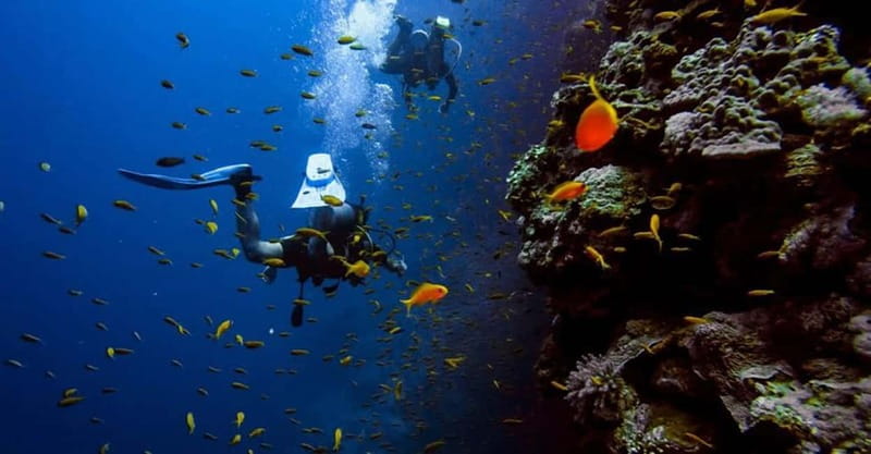 From Alanya: Scuba Diving Tour with Hotel Transfers - What your underwater sessions look like (and why the depth plan works)
