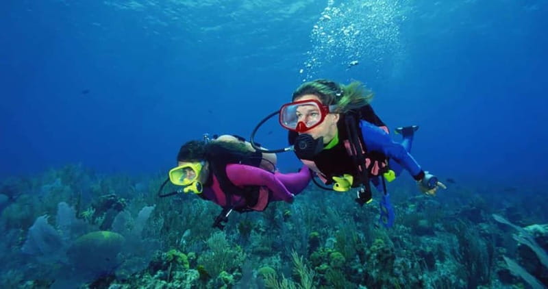 From Alanya: Scuba Diving Tour with Hotel Transfers - Getting to the boat: Alanya and Side hotel pickup that matters