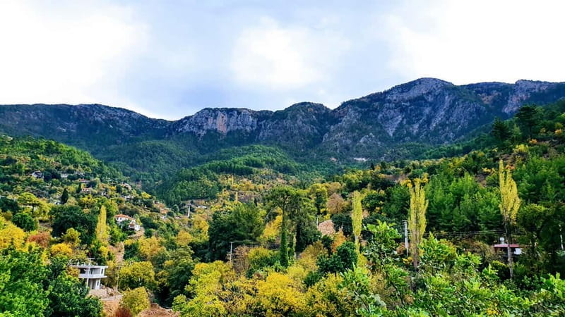 From Antalya: Jeep Safari Tour For All Ages - River Lunch by the Water: BBQ, a Dip, and Time to Float