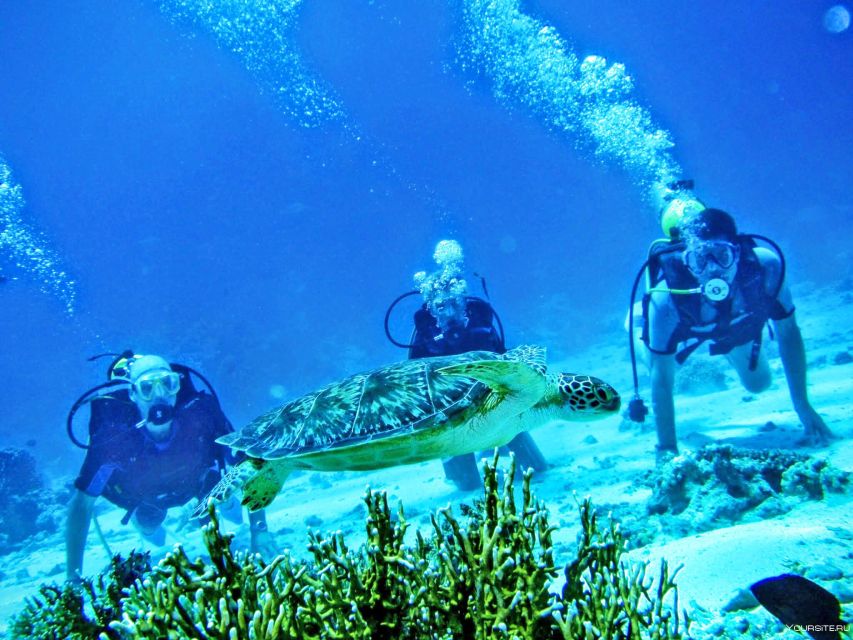 From Antalya| Kemer: Diving Tour with Experienced Instructor - The On-Board Part of the Day: Briefing, Groups, Lunch, and Downtime