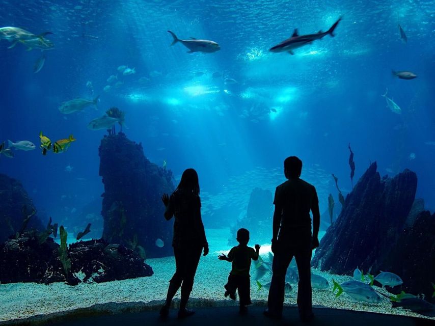 From city of Side: Antalya Aquarium Full-Day Trip - Hotel pickup and transfers: the part that quietly makes it worth $77