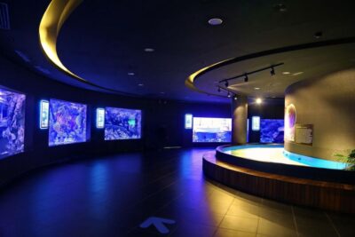 From city of Side: Antalya Aquarium Full-Day Trip - The 8-hour flow from Side: what the schedule usually feels like
