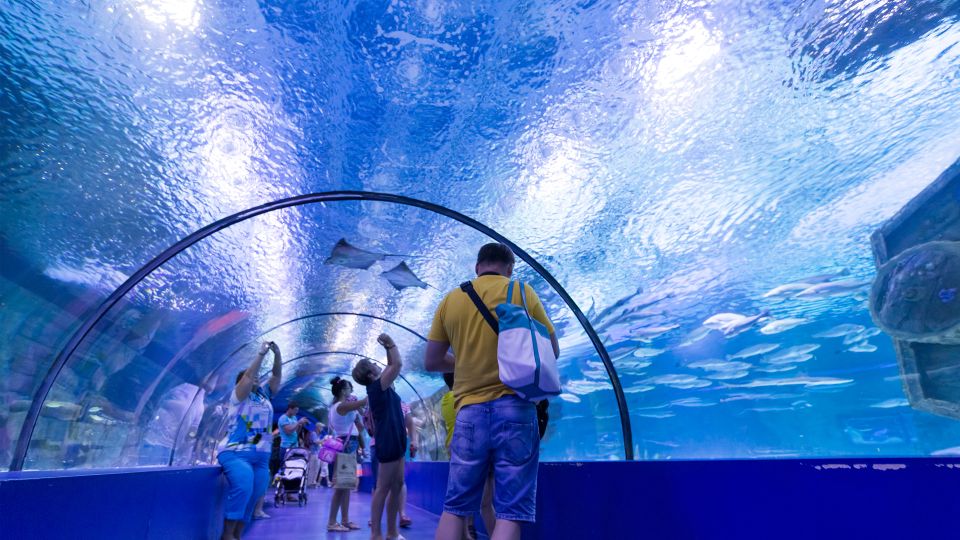 From city of Side: Antalya Aquarium Full-Day Trip - Inside the aquarium: fish, sea life, and the staged “world” design