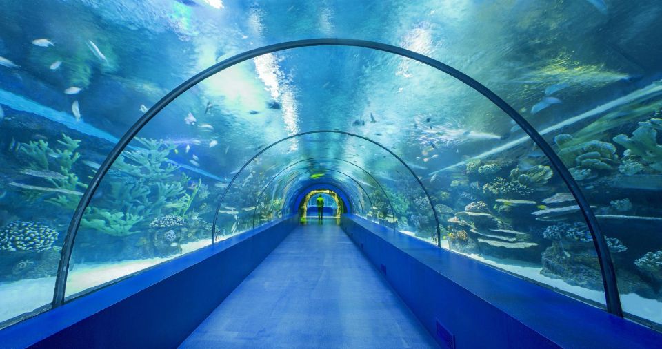 From city of Side: Antalya Aquarium Full-Day Trip - 1.5 hours of free time in Antalya: use it for wandering, not shopping marathons
