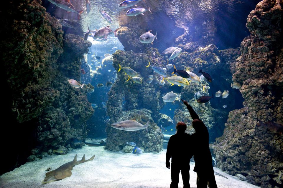 From city of Side: Antalya Aquarium Full-Day Trip - Who this tour suits best (and who should reconsider)