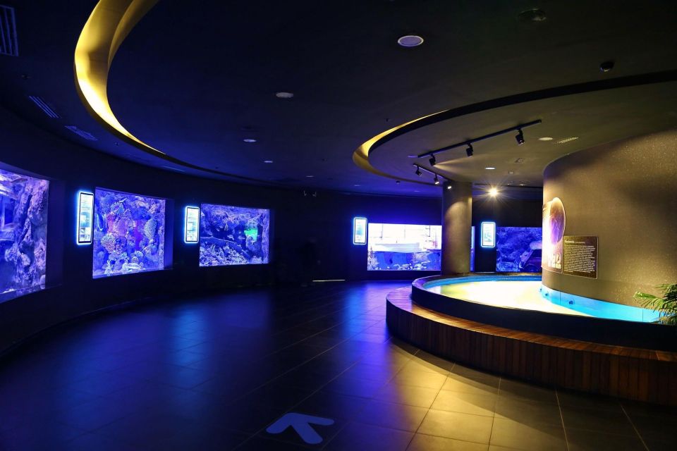 From city of Side: Antalya Aquarium Full-Day Trip - The 8-hour flow from Side: what the schedule usually feels like