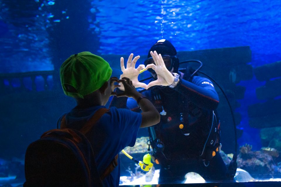 From City of Side: Antalya Aquarium Tour, Ticket & Transfer - Pickup from Side: timing, expectations, and how to make it smoother