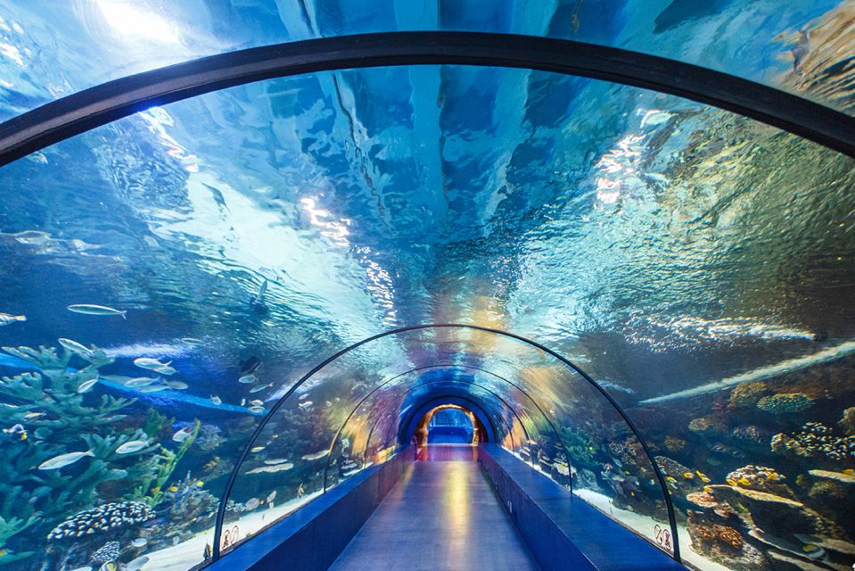 From City of Side: Antalya Aquarium Tour, Ticket & Transfer - Kalpuzkaldıran Waterfall: the best “stretch your legs” stop of the day