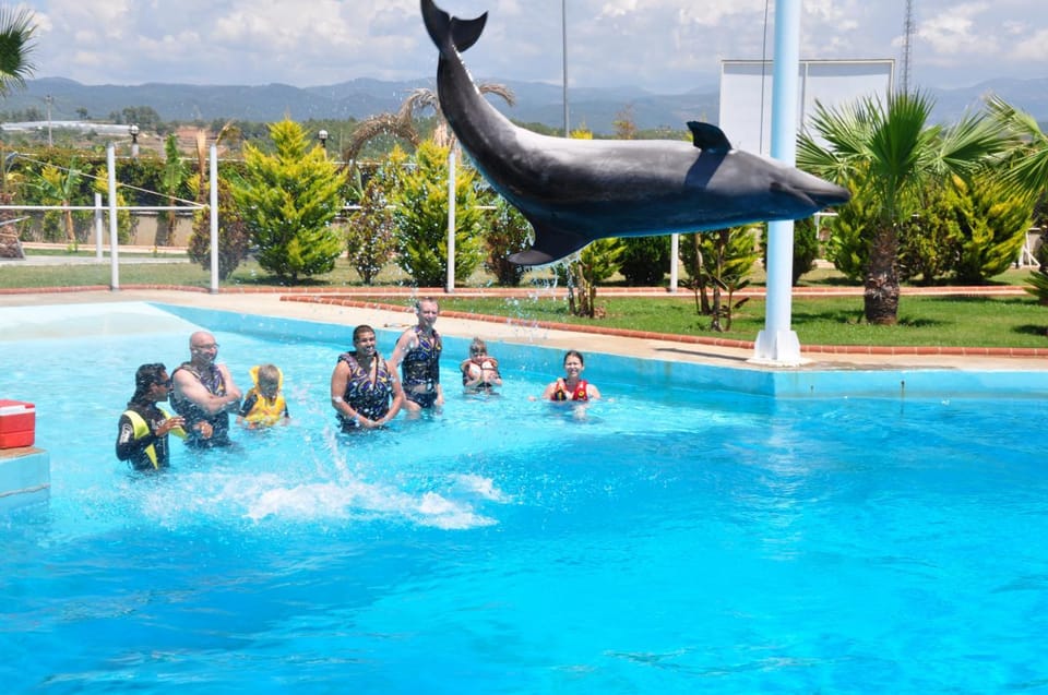 From Side Dolphin and Seal Show Ticket with Hotel Transfers - FAQ