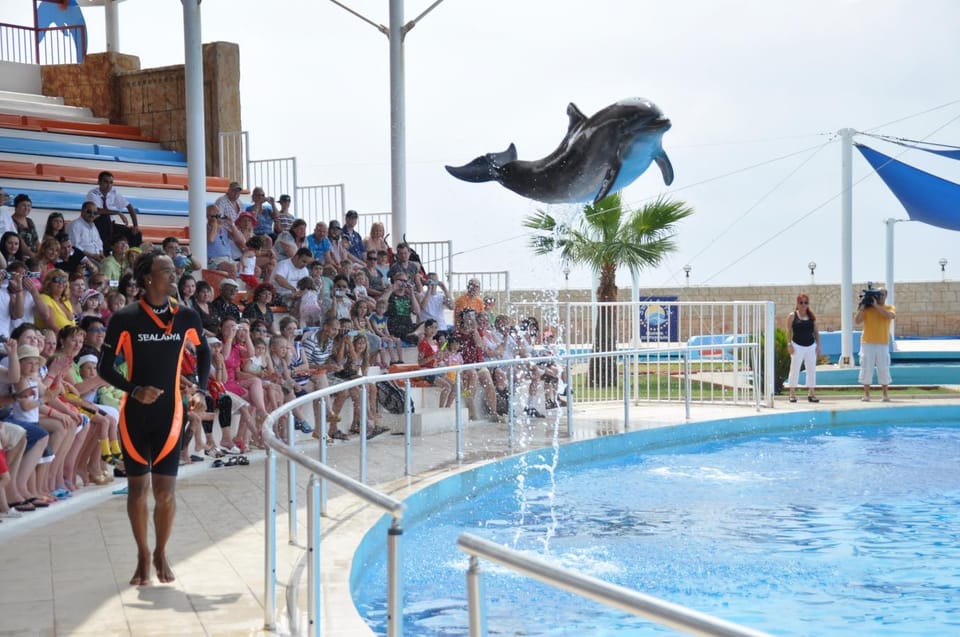 From Side Dolphin and Seal Show Ticket with Hotel Transfers - Price and value: how $42 stacks up for transfers plus admission