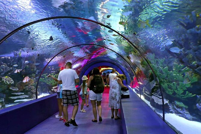 Half Day Antalya Aquarium Tour And Wax Museum - Antalya Aquarium Highlights: Tunnel Views and Themed Rooms