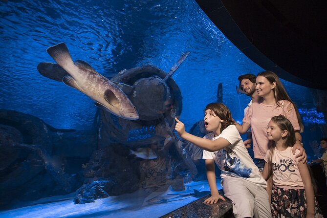 Half Day Antalya Aquarium Tour And Wax Museum - Price and Value: What $70 Gets You (and Why It Works)