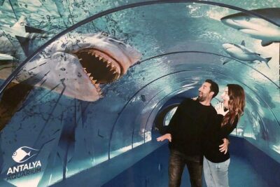 Half Day Antalya Aquarium Tour And Wax Museum - Face2Face Wax Museum: Life-Size Celebrities in a Short Stop